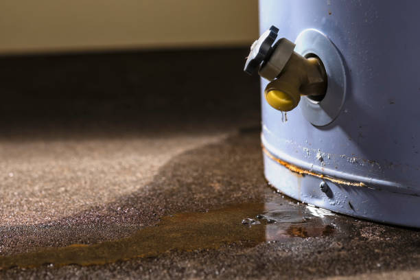 Carpet water damage restoration in Selma, TX