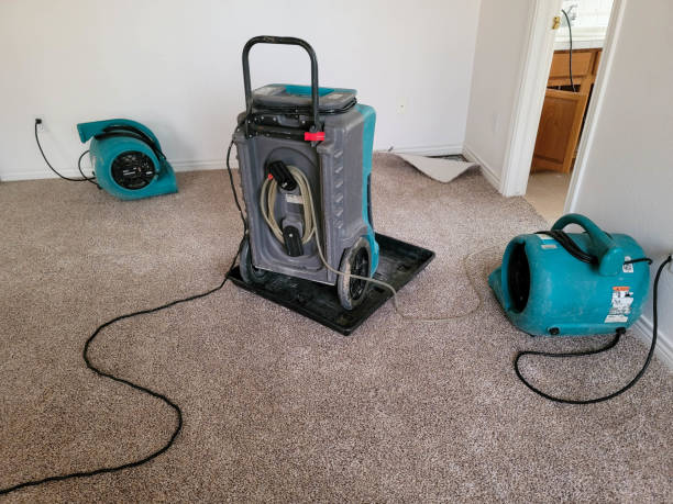 Best Mold removal after water damage  in Selma, TX