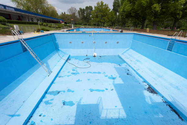 Best Professional water damage repair  in Selma, TX