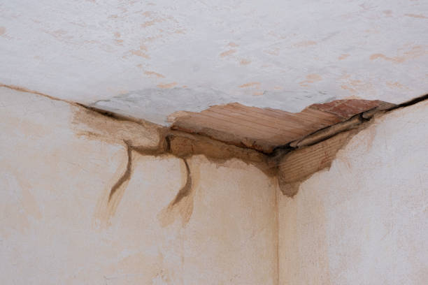 Best Flood damage cleanup  in Selma, TX