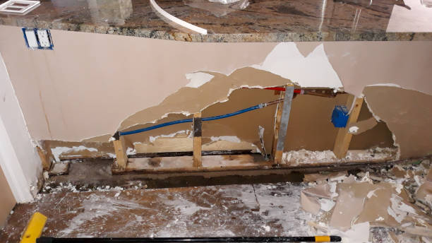 Best 24/7 water damage repair  in Selma, TX