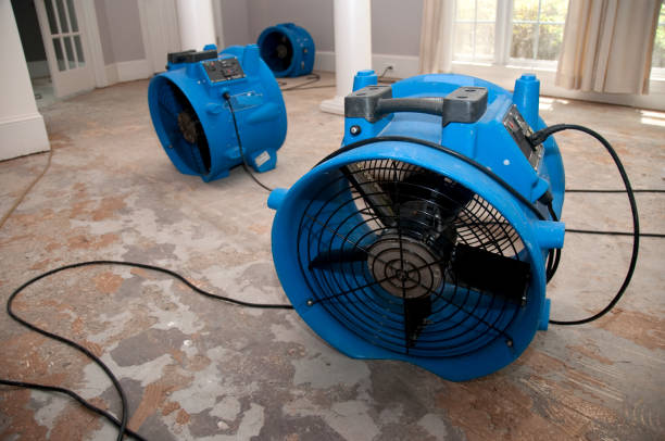 Best Sewage cleanup and water damage restoration  in Selma, TX