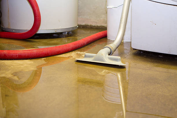 Reliable Selma, TX Water damage restoration Solutions