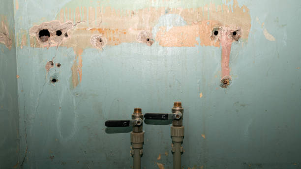 Best Water damage contractors near me  in Selma, TX