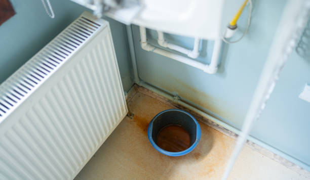 Best Mold removal after water damage  in Selma, TX