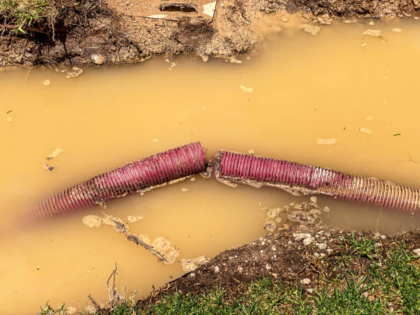 Local water damage restoration in Selma, TX