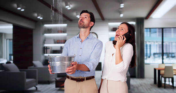 Best Professional water damage repair  in Selma, TX