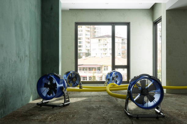Professional Water damage restoration in Selma, TX
