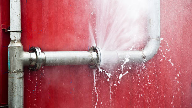 Best Residential water damage restoration  in Selma, TX