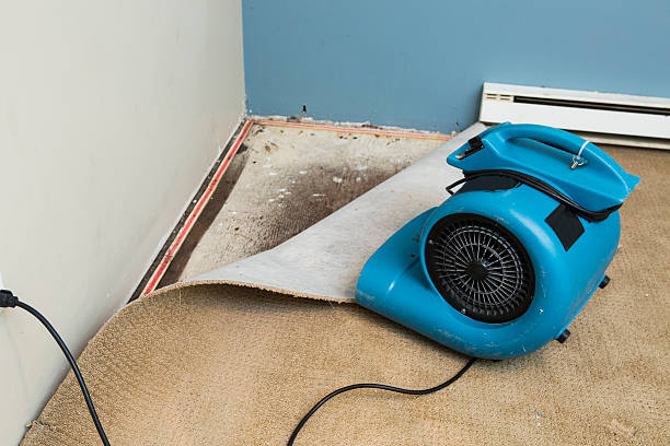 Best Water damage restoration experts  in Selma, TX